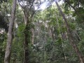 Tn 0506 DSC 5825